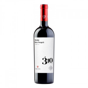 Fautor 310 Merlot & Rara Neagră 2022